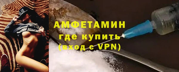 амф Гусиноозёрск