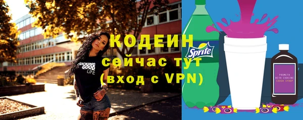 ешки Ельня