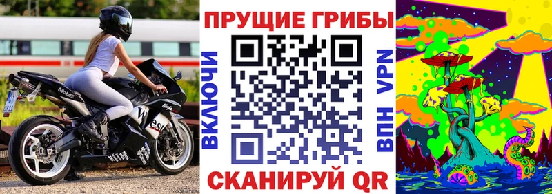 Псилоцибиновые грибы Magic Shrooms  Купить  Чердынь 